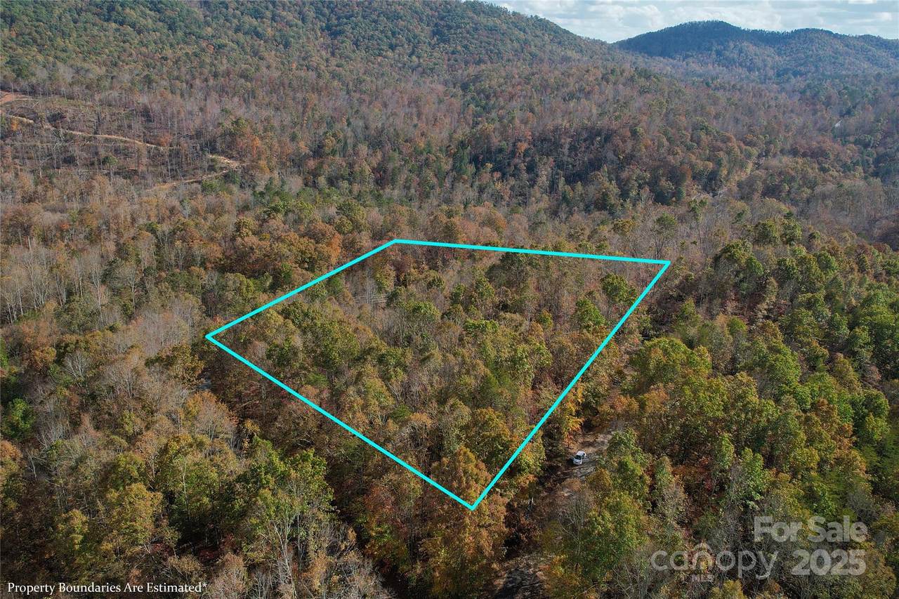 Lot 1 Nc Highway 226 Highway - Photo 1
