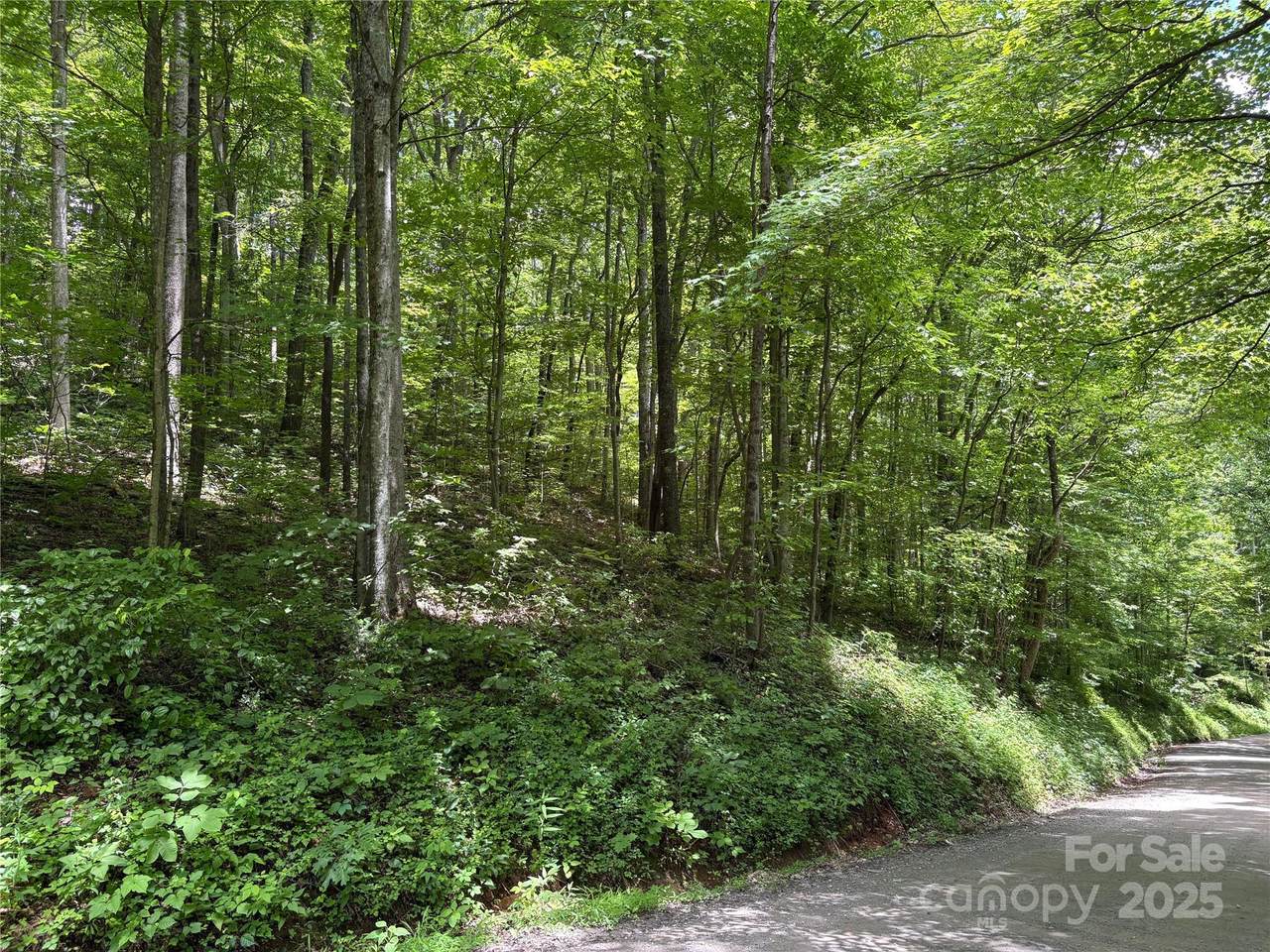 TBD Upward Way - Photo 1