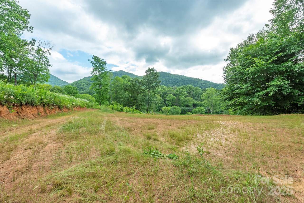 1433 Crabtree Mountain Road - Photo 1