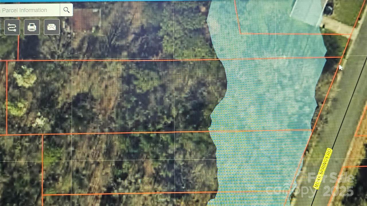 N/A Moss Springs Road - Photo 1