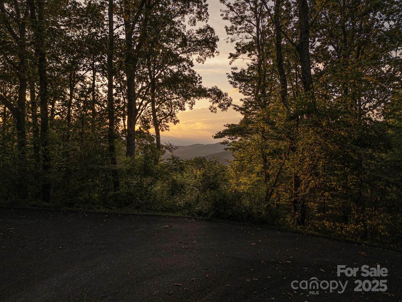 15 Casta Way - Photo 1