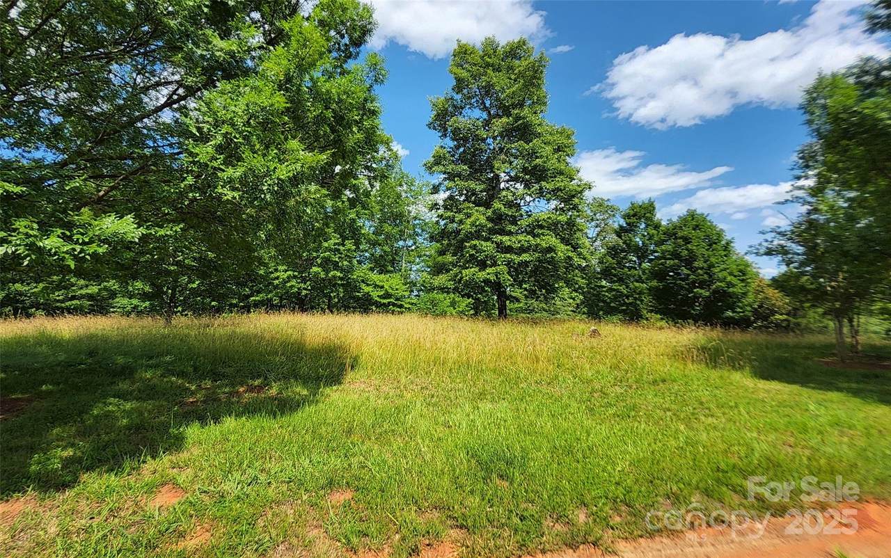 00 Mountain Parkway - Photo 1