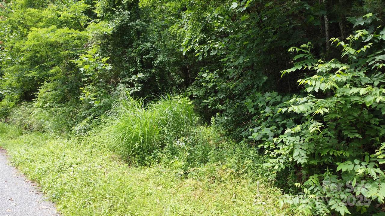 830 Cove Creek Lane - Photo 1