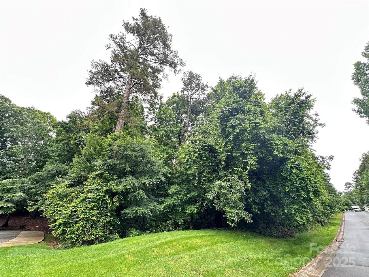 8900 Hollybrook Lane - Photo 1