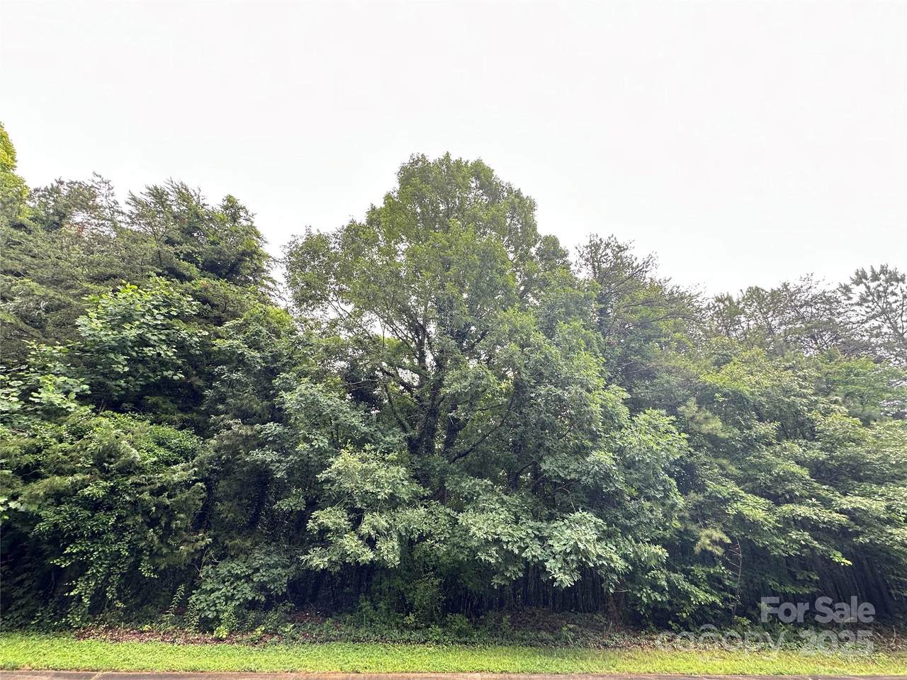 8810 Hollybrook Lane - Photo 1