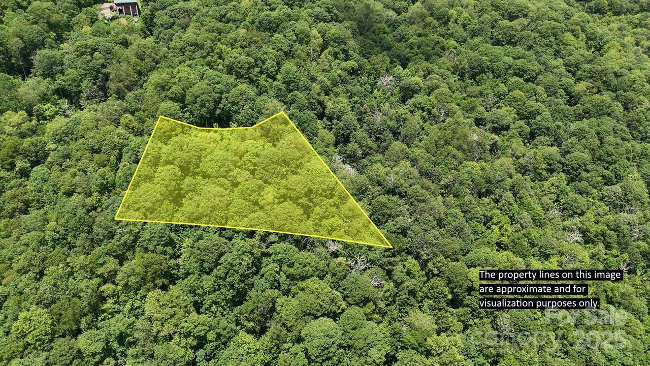 00 Logging Trail - Photo 1