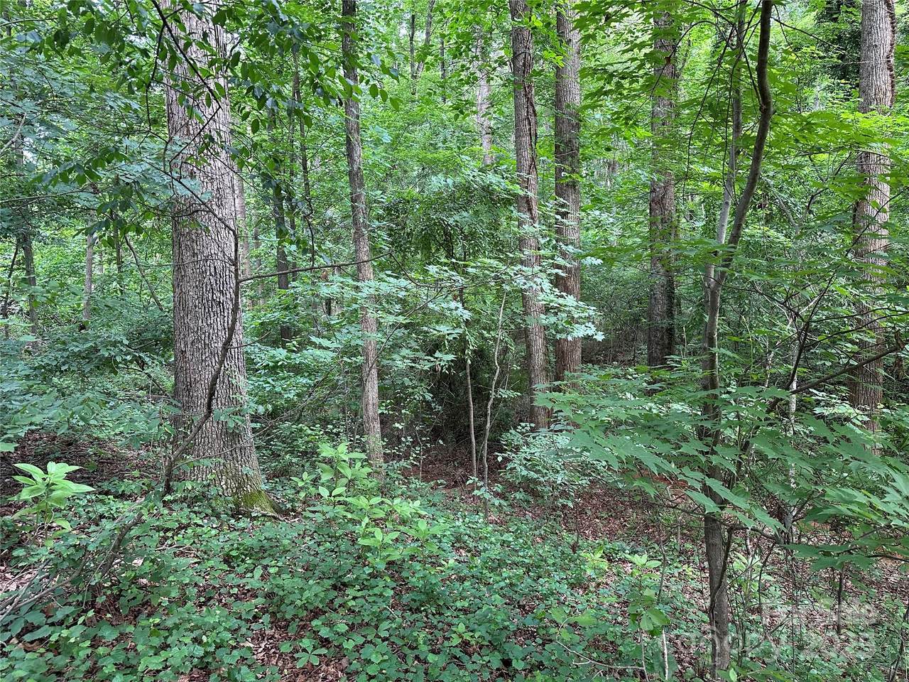 00 Fremont Lane - Photo 1