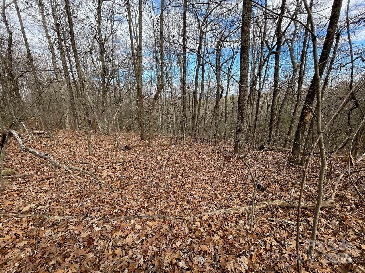 290 Shoal Creek Road - Photo 1