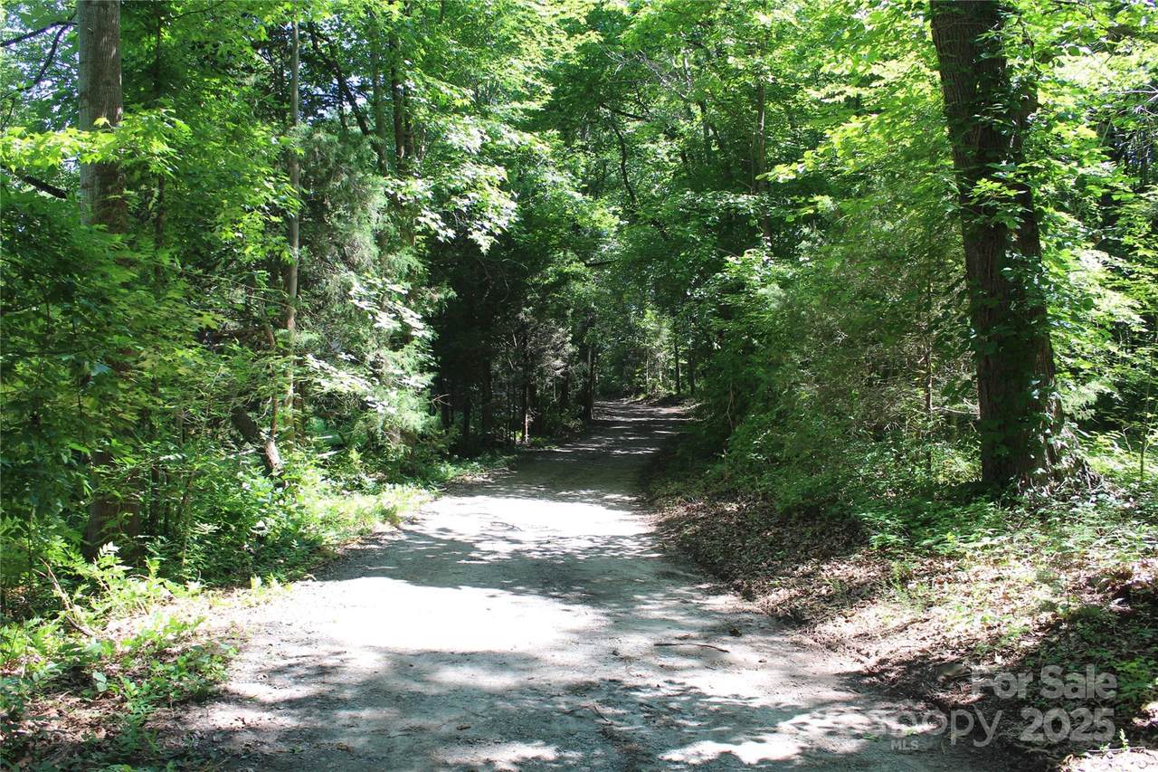 1425 Needmore Road - Photo 1