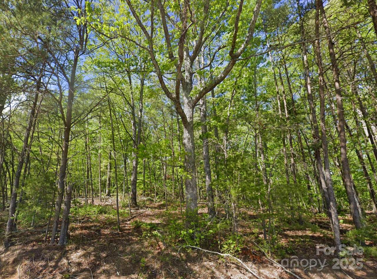 0 Pleasant Grove Road - Photo 1