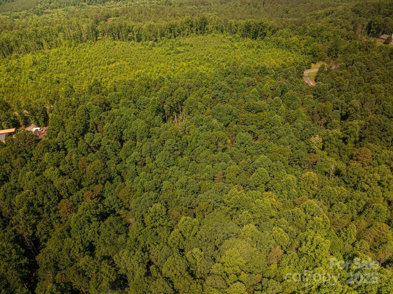 00 Boy Scout Road - Photo 1
