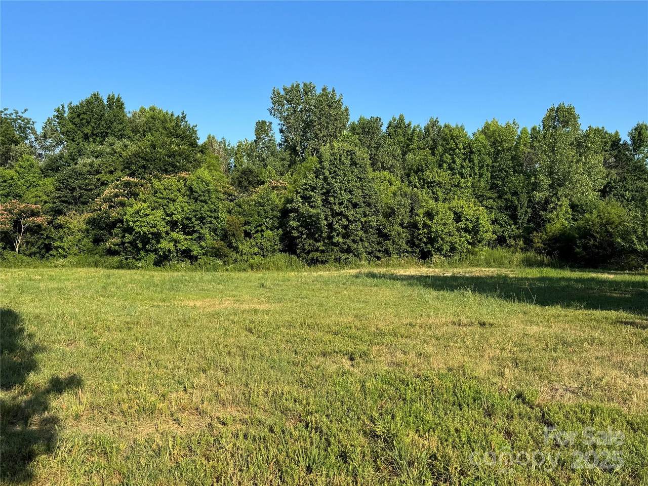 2842 Gray Fox Road - Photo 1