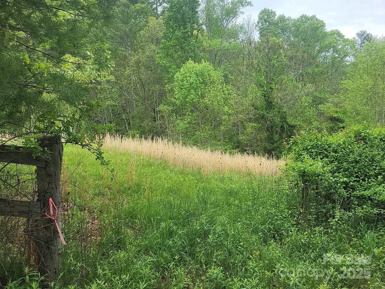 TBD Loggy Hollow Road - Photo 1