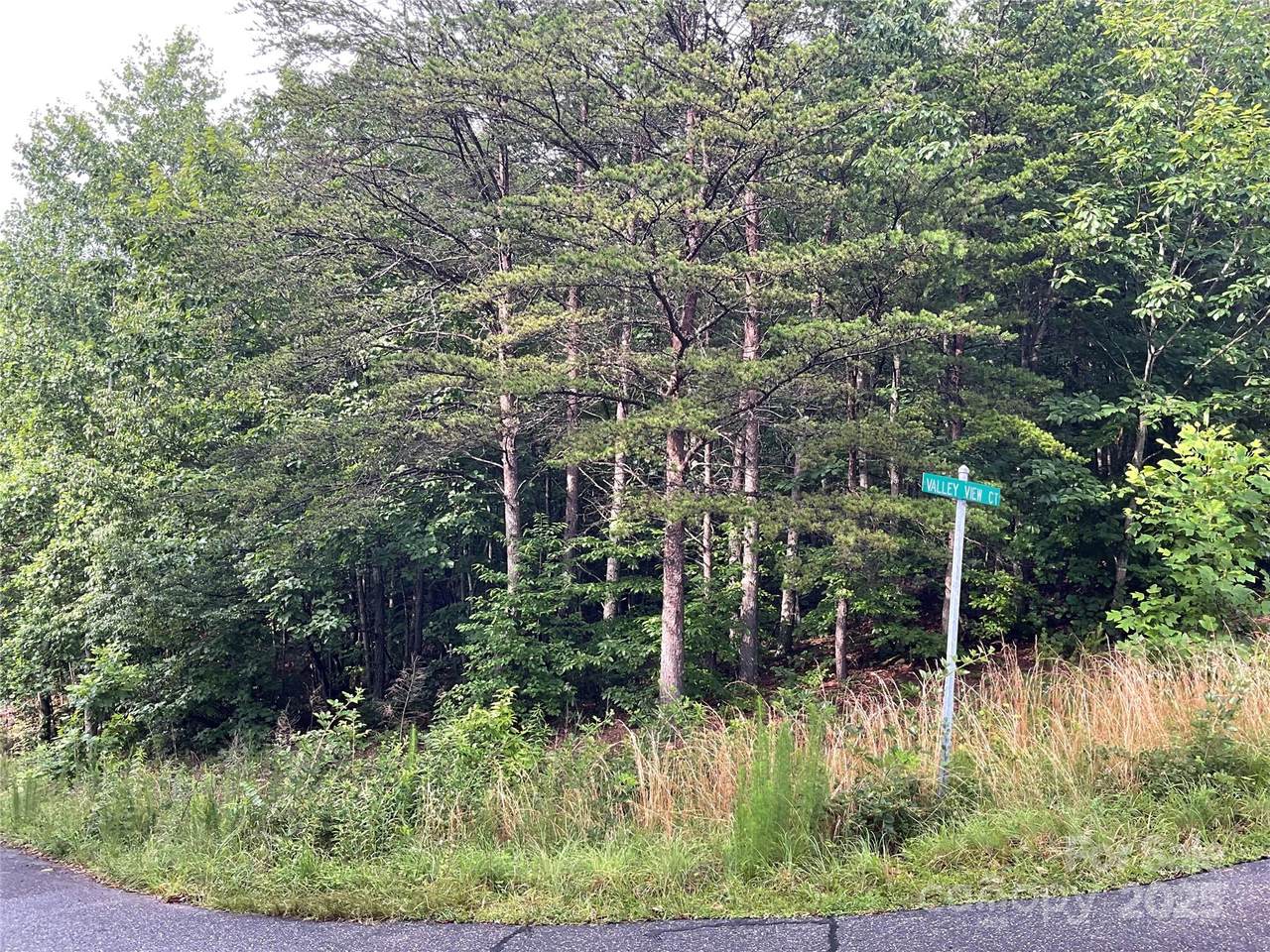 0 Pineknoll Drive - Photo 1