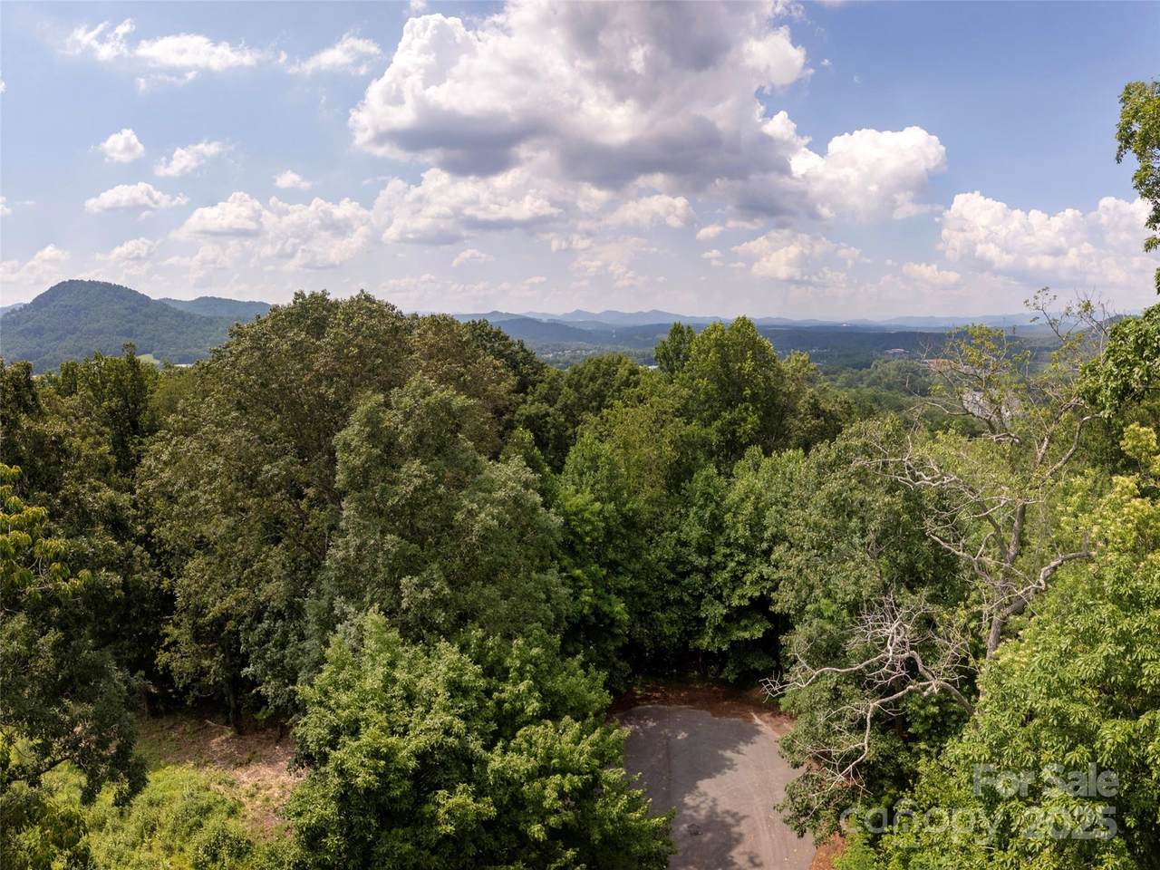 61 Arabella Lane - Photo 1