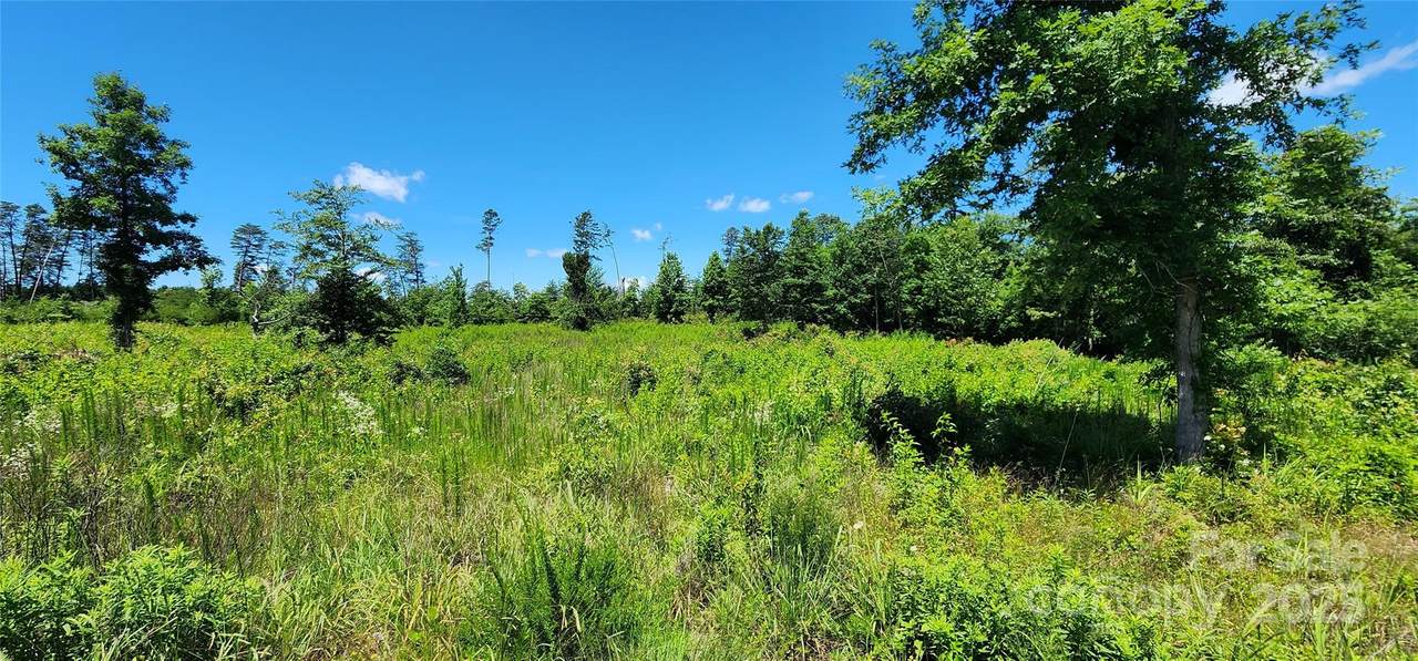Lot 1 Poors Ford Road - Photo 1