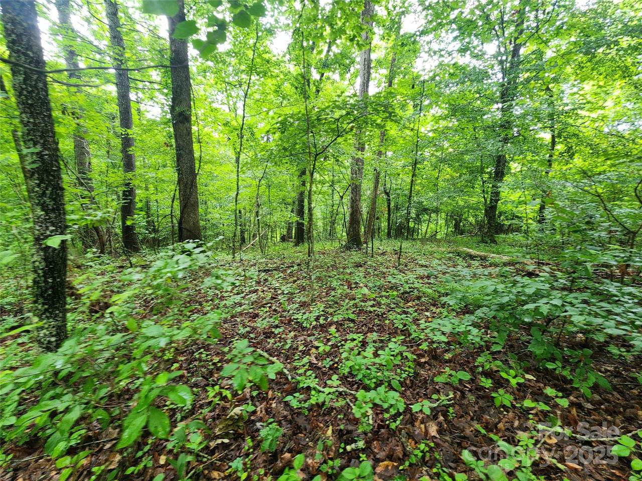 9999 Henry Worley Lane - Photo 1