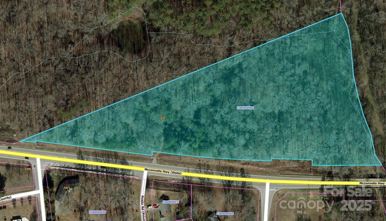 1231 Mcconnells Highway - Photo 1
