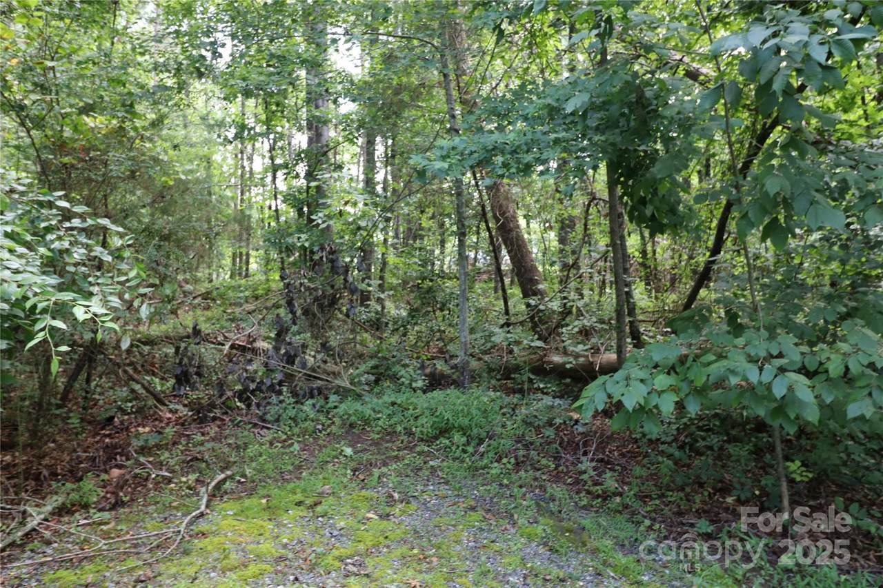 0 Shady Nook Circle - Photo 1