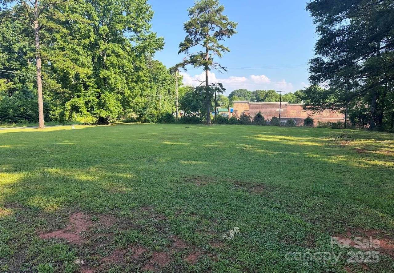 1086 Dobys Bridge Road - Photo 1
