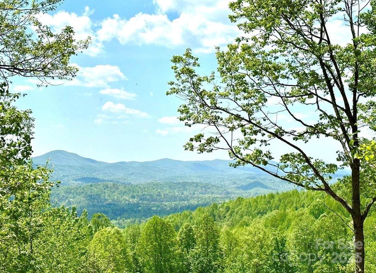 Lot 79 Ridge Run Road - Photo 1