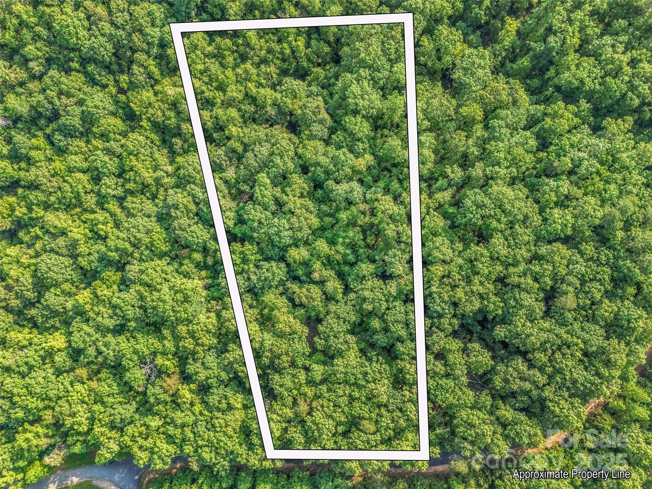 0 Forest Country Drive - Photo 1