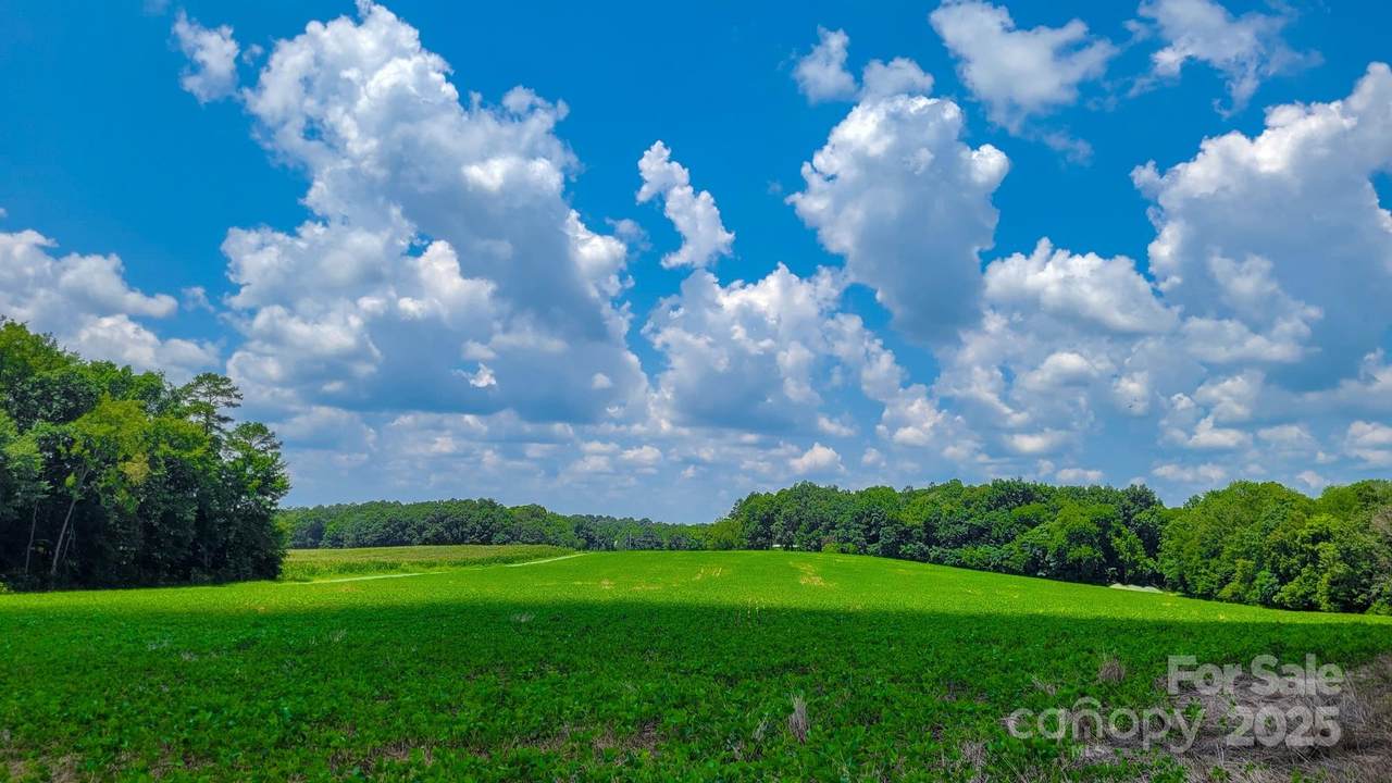 7908 Concord Highway - Photo 1