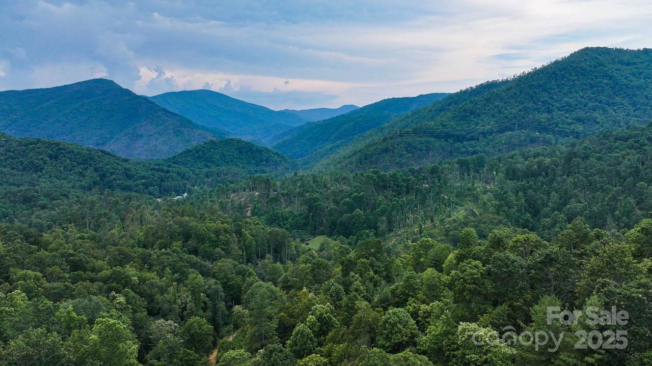000 Poplar Creek Road - Photo 1