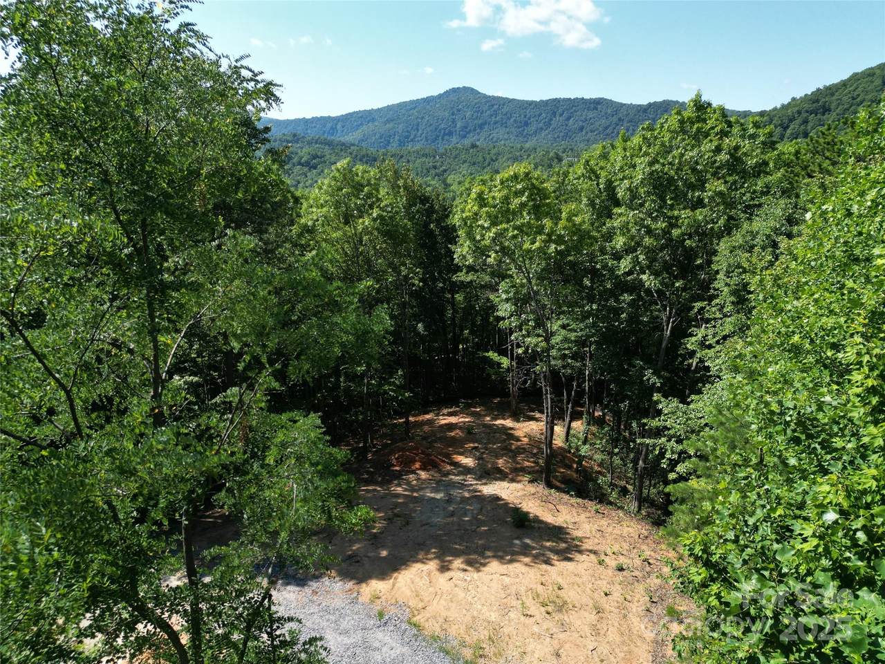 1915 Catawba Falls Parkway - Photo 1
