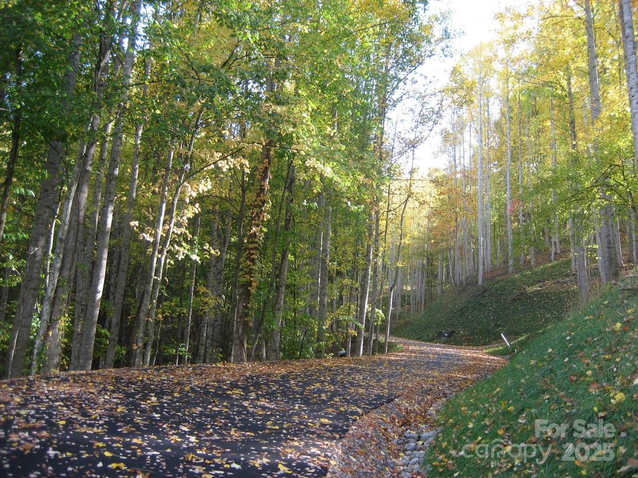11 Katua Trail - Photo 1