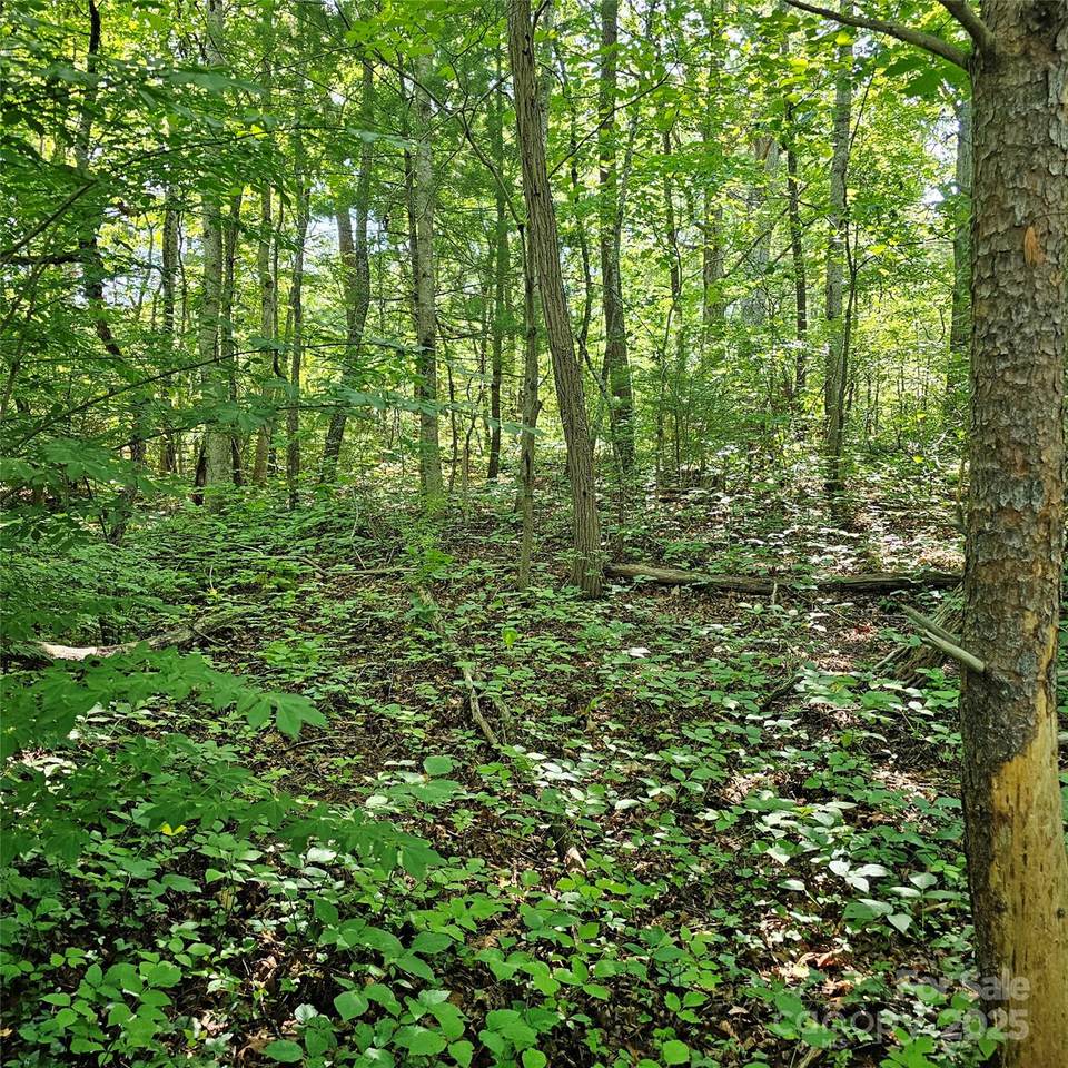 99999 Campground Road - Photo 1