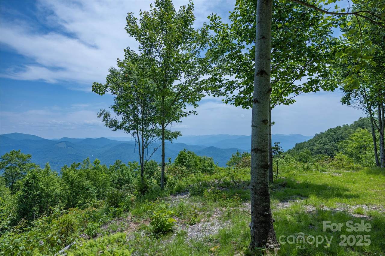 3409 Parris Branch Road - Photo 1