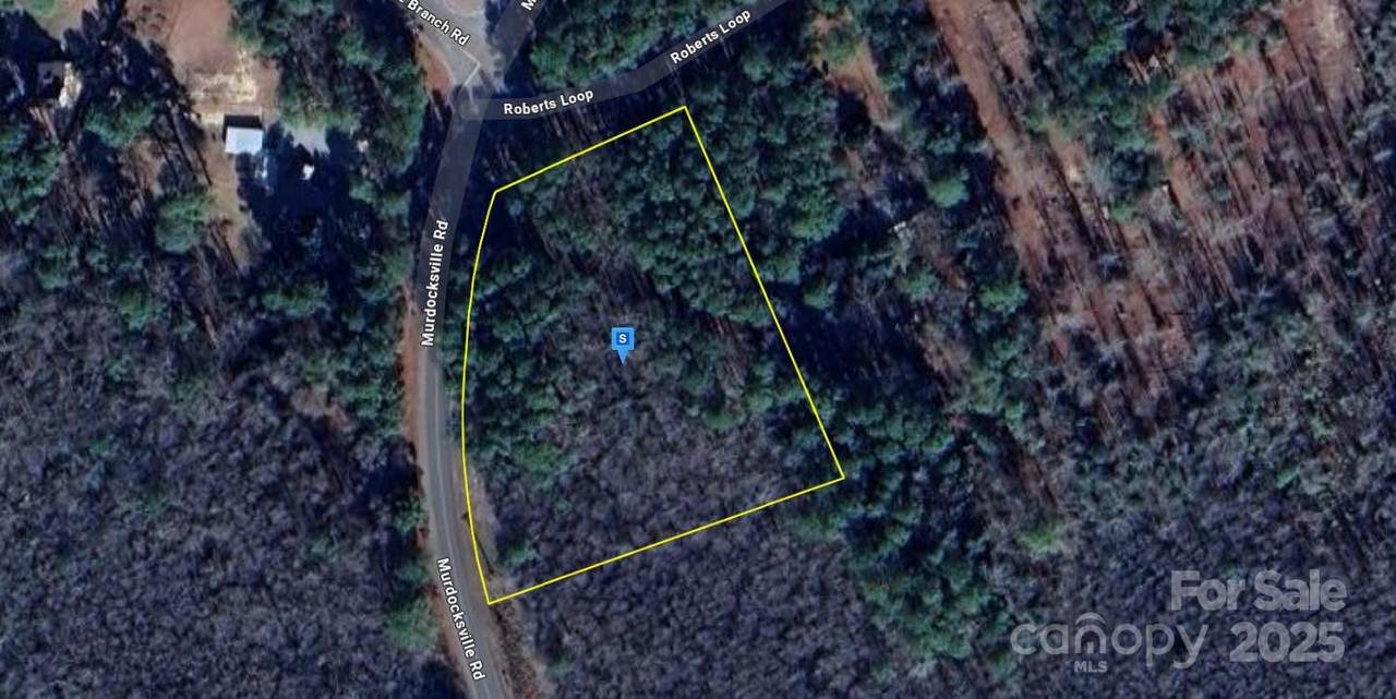3269 Murdocksville Road - Photo 1