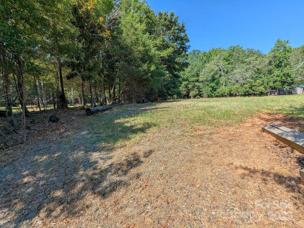 0000 Tract #1B Roddey Road - Photo 1
