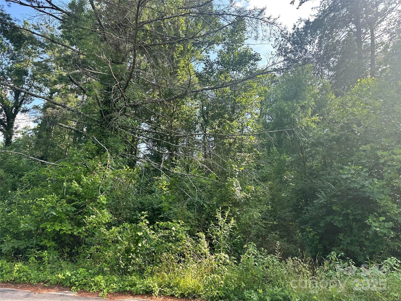 Lot 133 Brandon Road - Photo 1