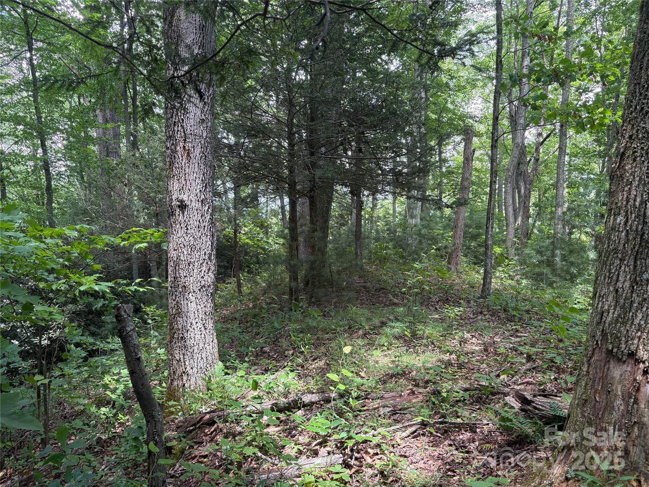 00 Early Frost Place - Photo 1