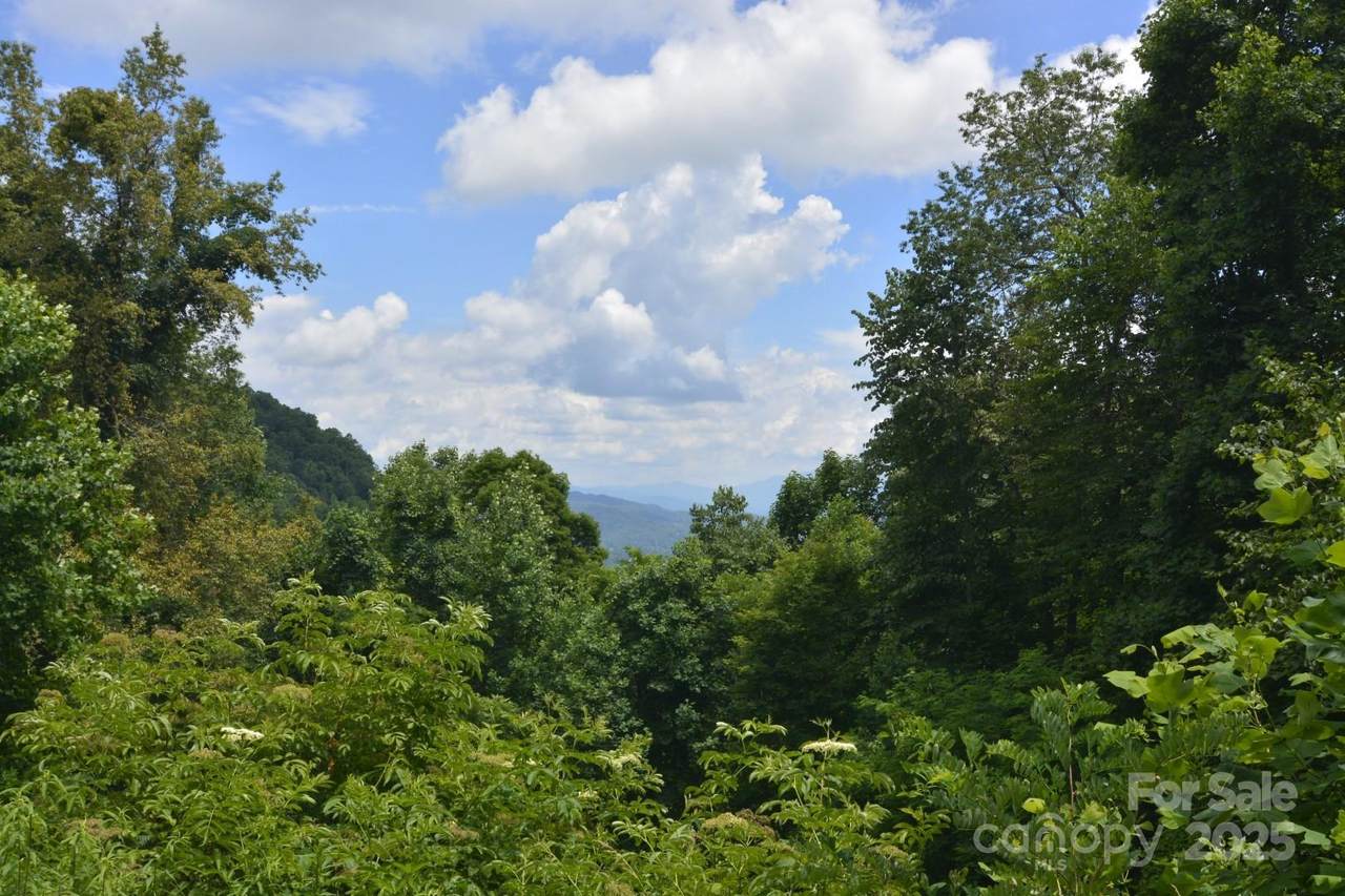 999 Red Wolf Run - Photo 1