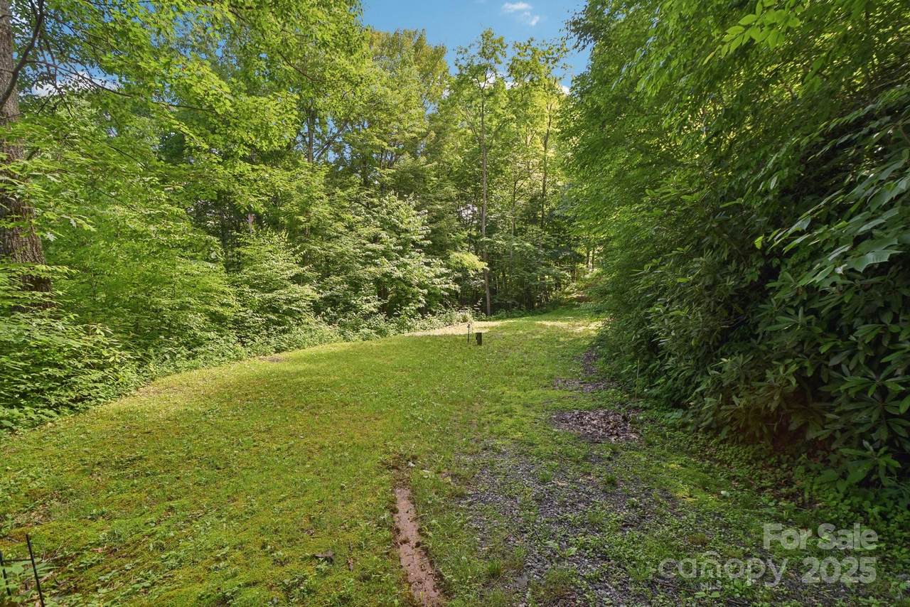 0000 Plott Balsam Road - Photo 1