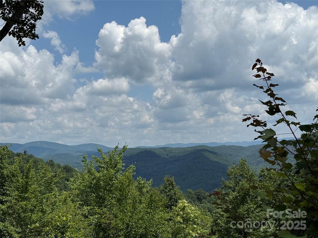 337 Lucas Path Drive - Photo 1