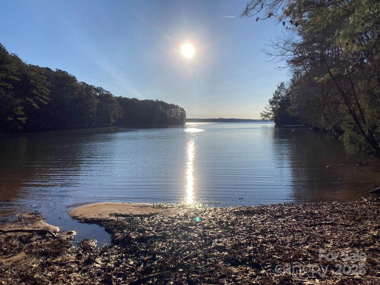 3539 Pearson Road - Photo 1