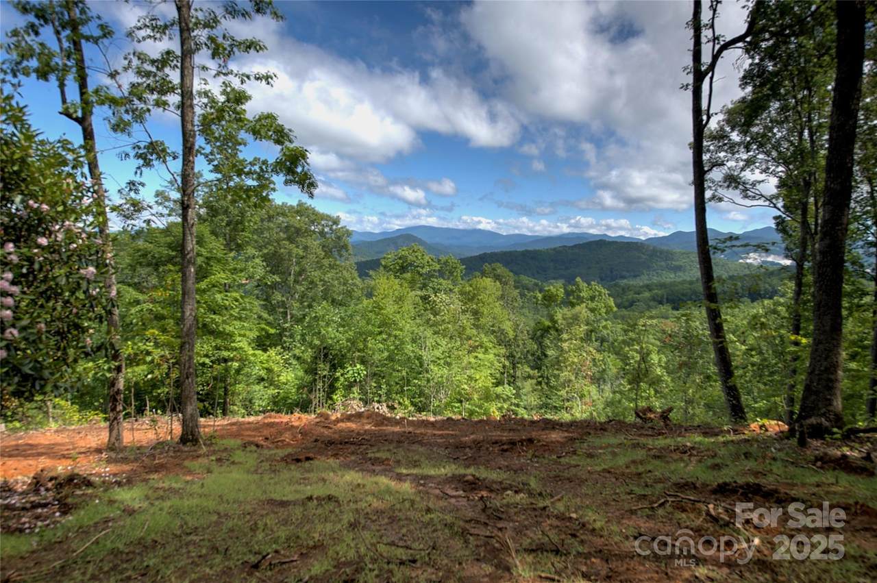000 Charlie Woody Mountain Road - Photo 1