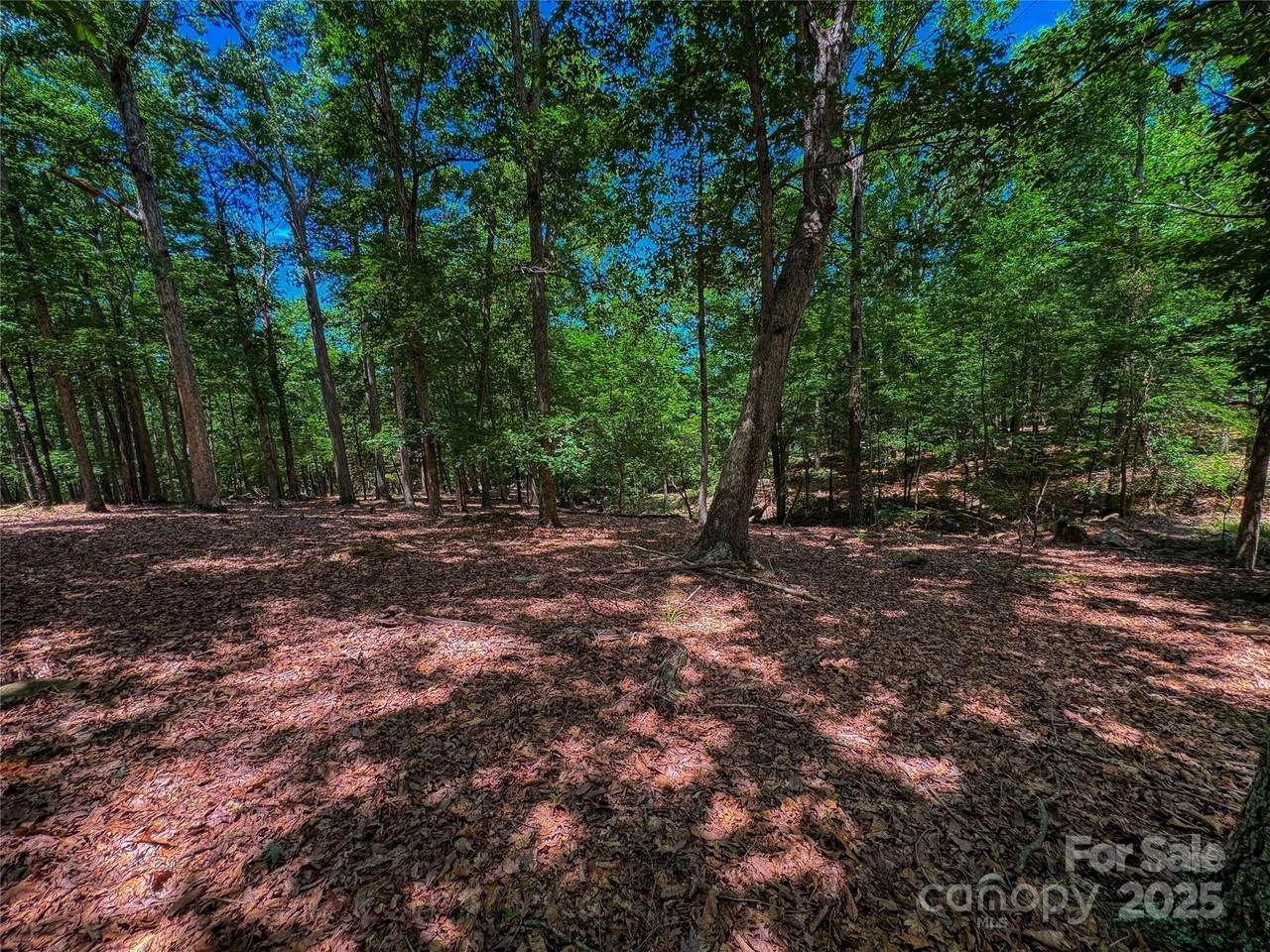1560 Rocky Cove Lane - Photo 1