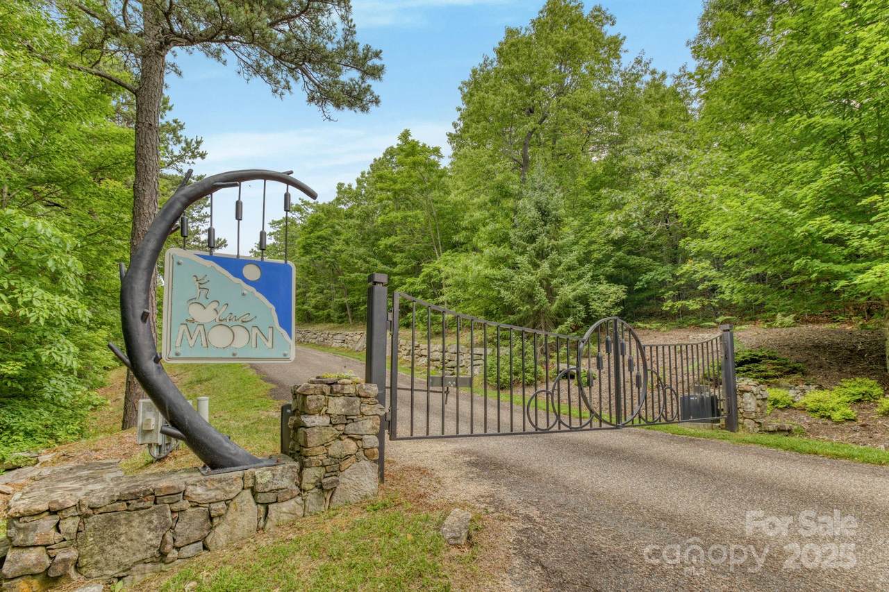 117 Sahalee Trail - Photo 1
