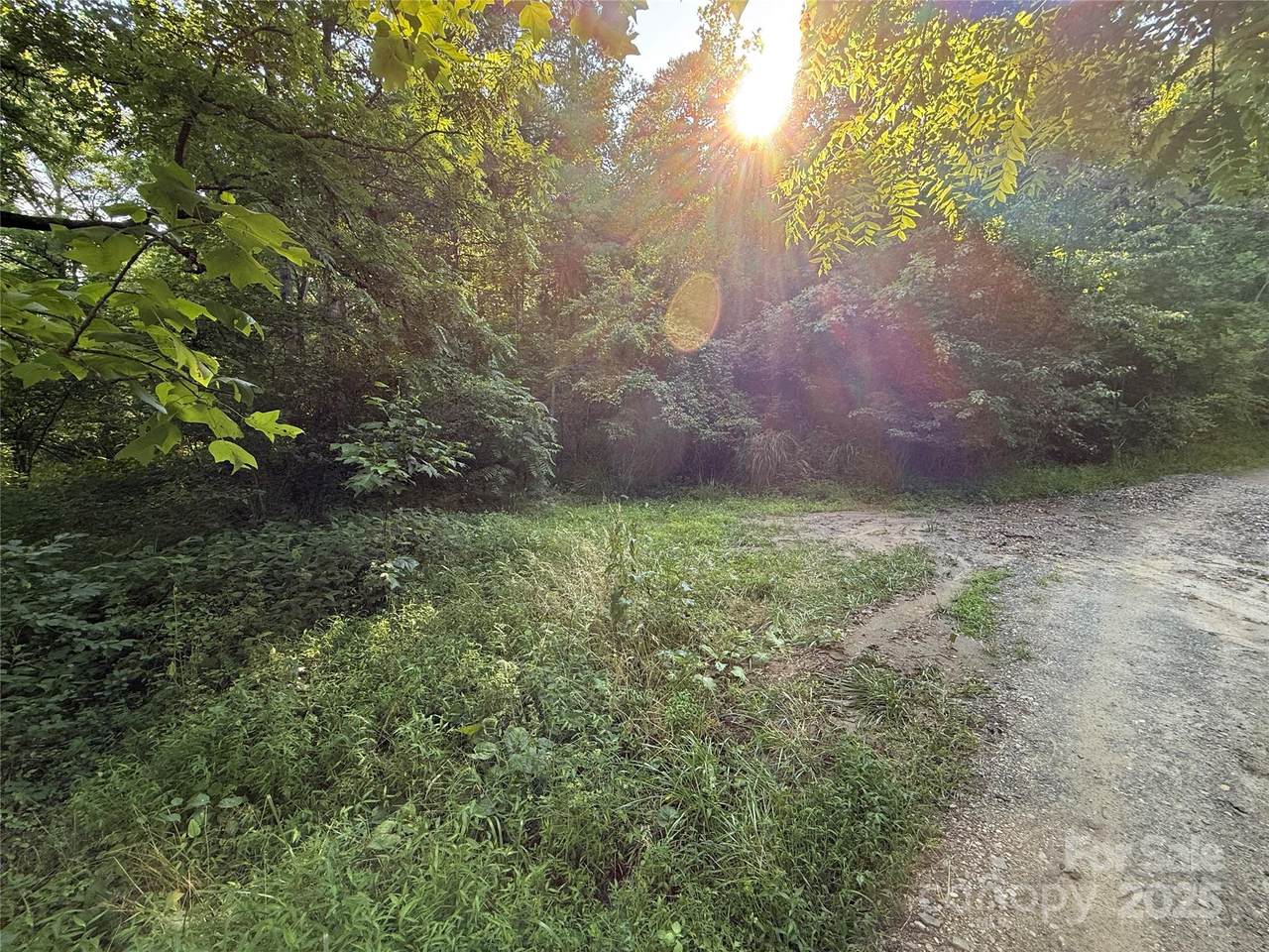 45 Wilde Hollow Drive - Photo 1