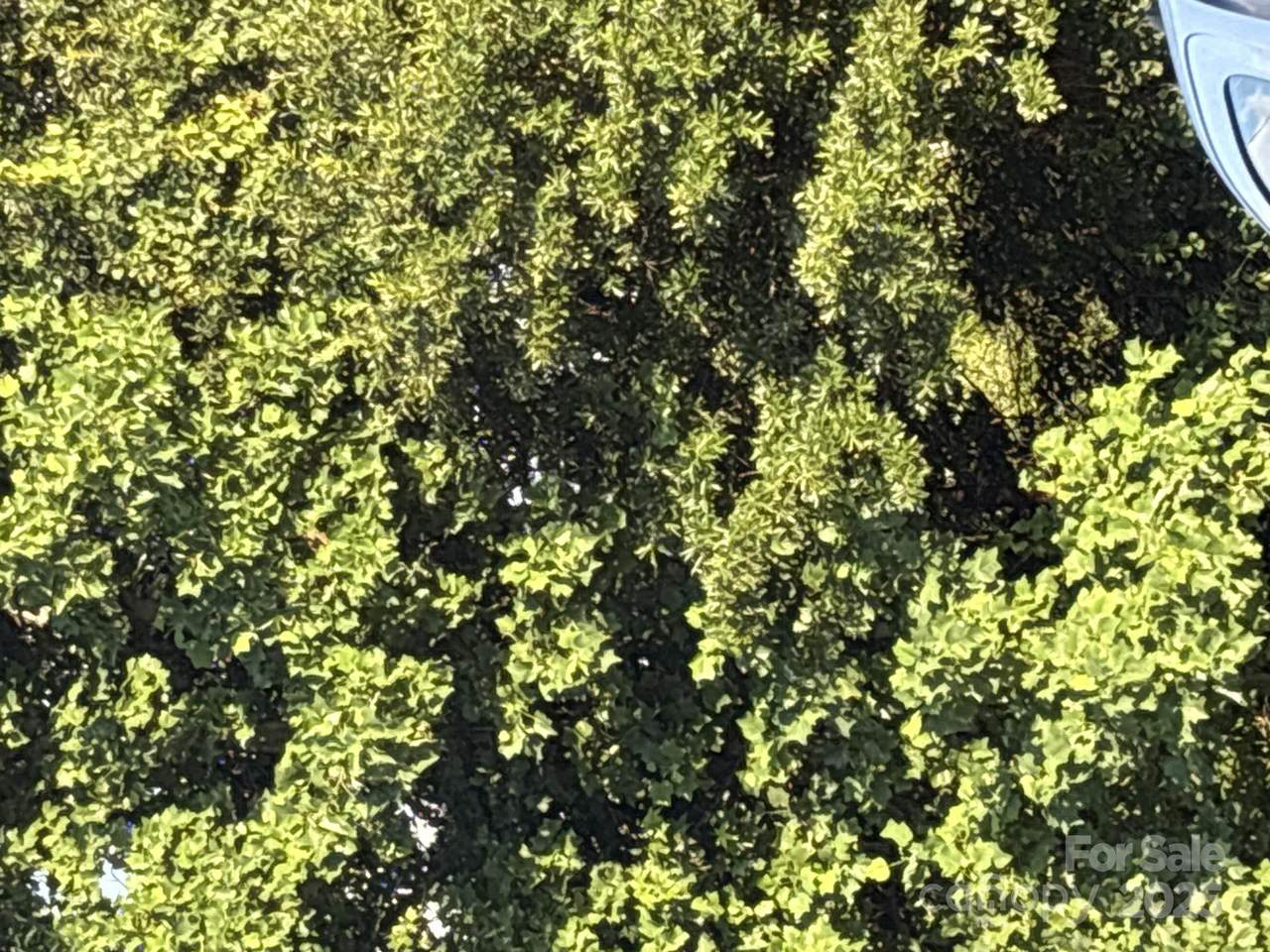 00 Summit Ridge Lane - Photo 1