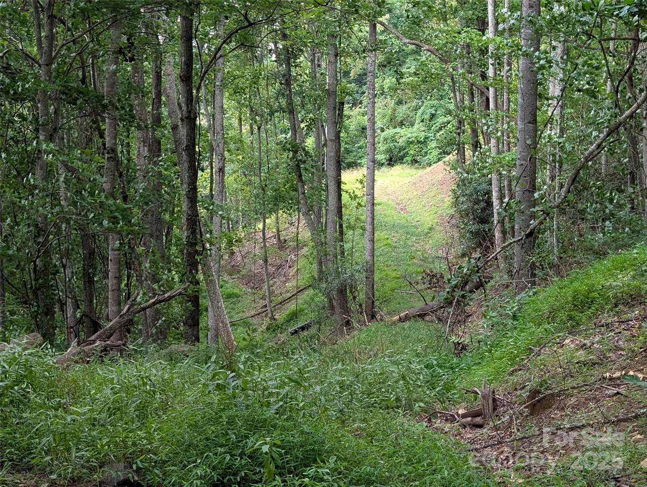 99999 Running Deer Lane - Photo 1