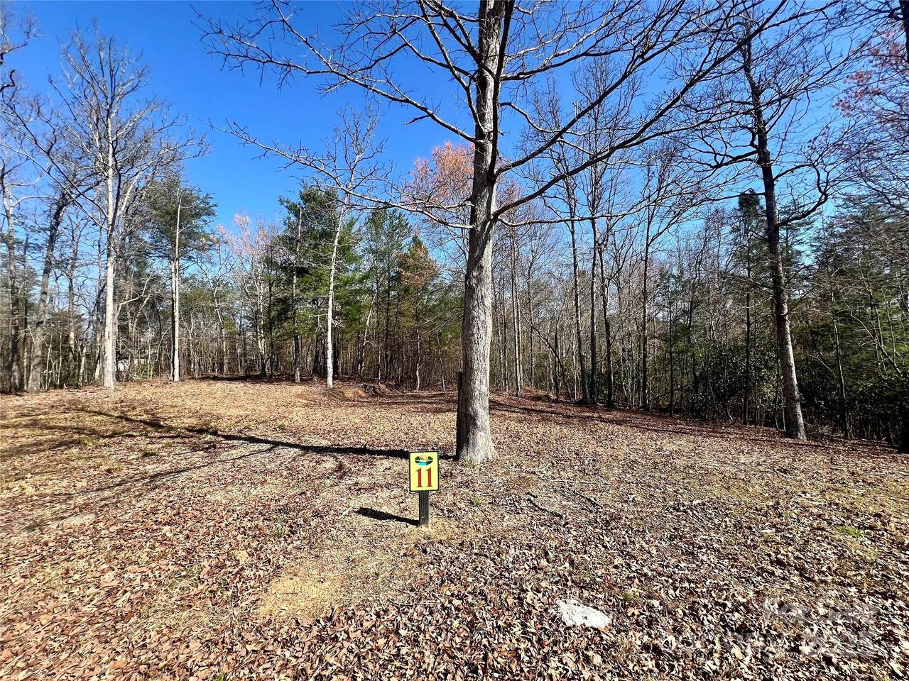 11 Arbor Creek Trail - Photo 1