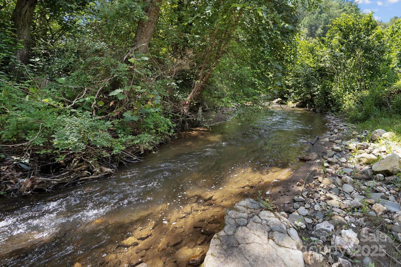 1296 Sheets Gap Road - Photo 1