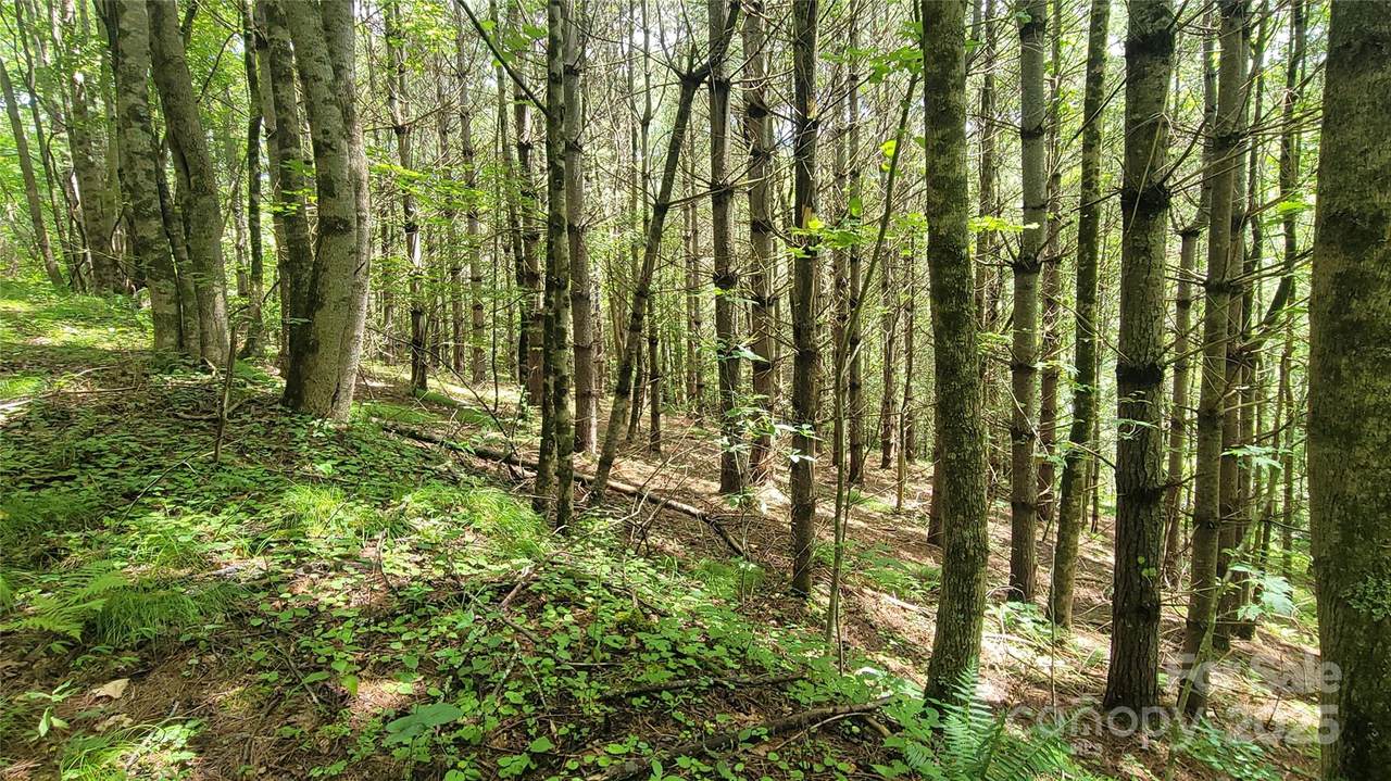 000 Eagle Bridge Road - Photo 1