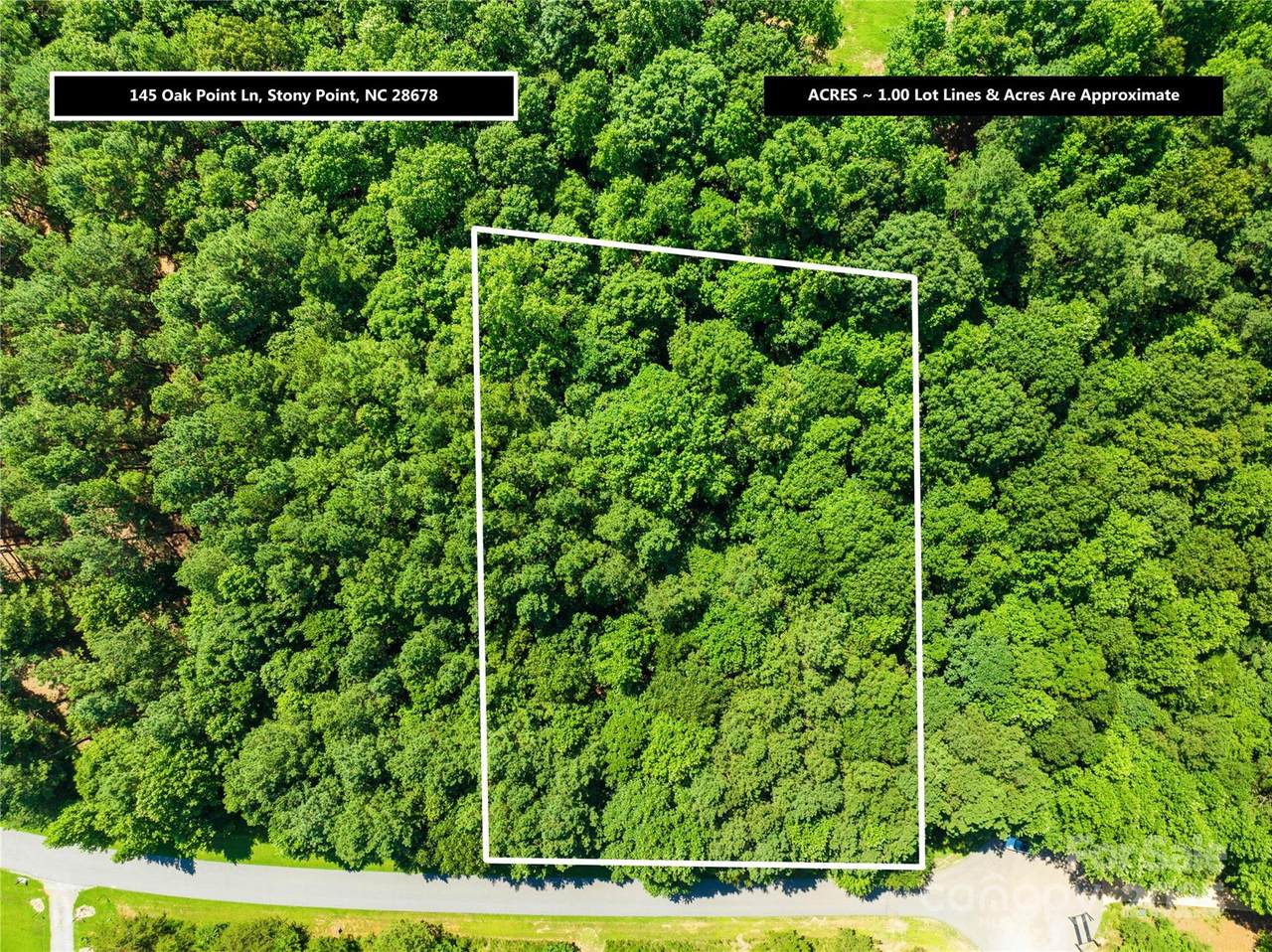 145 Oak Point Lane - Photo 1